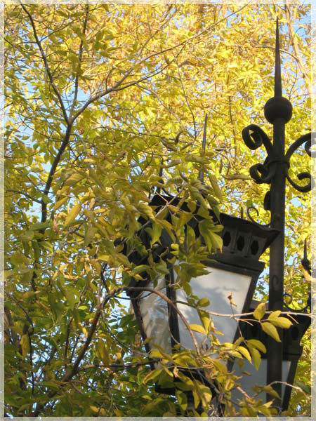 �������� �. ������� ��������.  