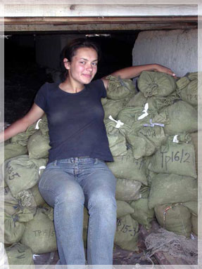 ���� �������� ����� ����������� ����.