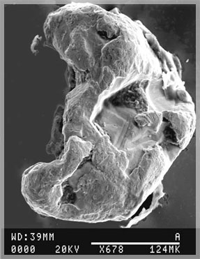 � ���������� ������ ������� ��������.