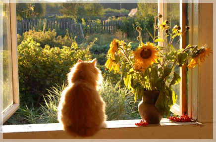 ���� �. ��������.