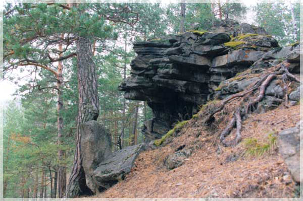 ������������ ���.