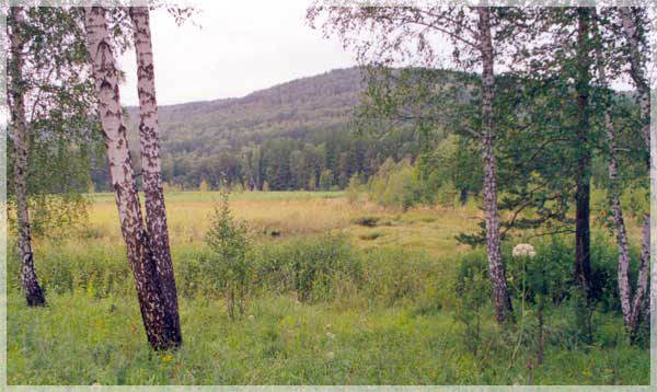 ����������� ����.