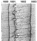 ������������ ������, �������������� � 1601 ����, � ����� �������� �������������� ����������.