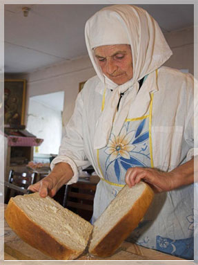 ����� ��������. ������������ ����.