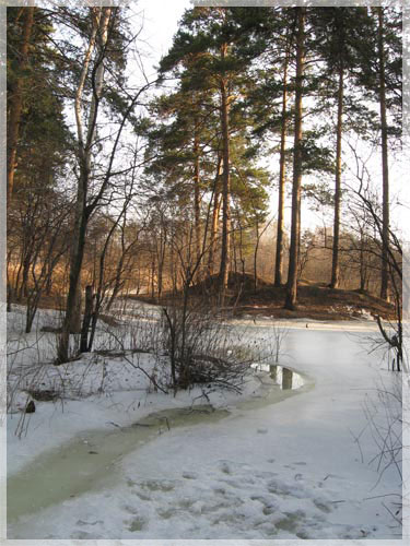 �������� ����.