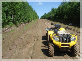 ������� ����� - 2008.