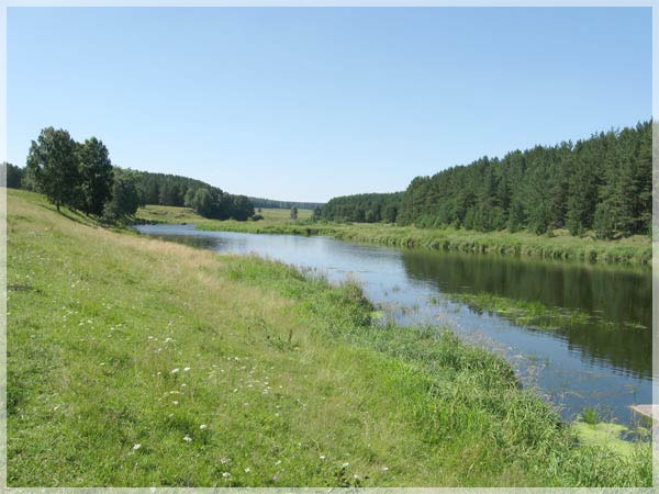 ������ ��������.