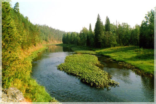 ��������� ����� ����� � ������ �������.