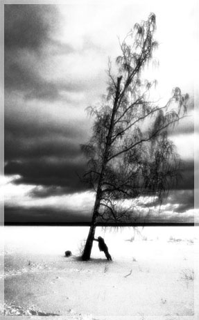 ���� �. ��������.