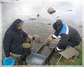 ������� ����� � ����������, �������� �������� ���� ��.