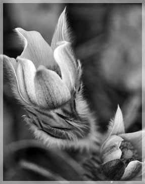 � 8 �����!