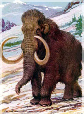 ��������� �������������.