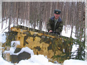 ������������ ������� ������-��������.