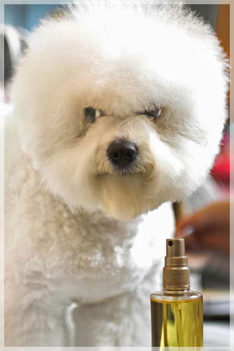 ������ �. ���������.