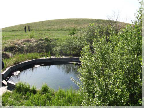 ������ ������. 