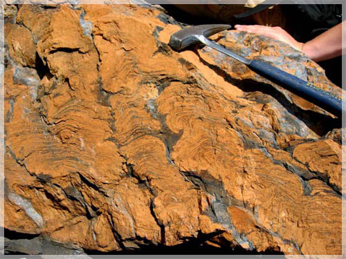 ������������.