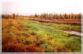 �������� ������������� ������� ����� ����������������� �����.