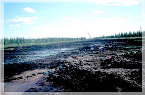 �������� ������������� ������� �� ����������������� �����.