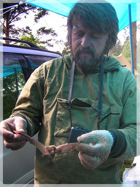 �������� ������������� ���� �������� �������.