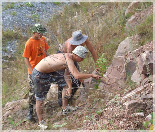 ������� ������� ����������.