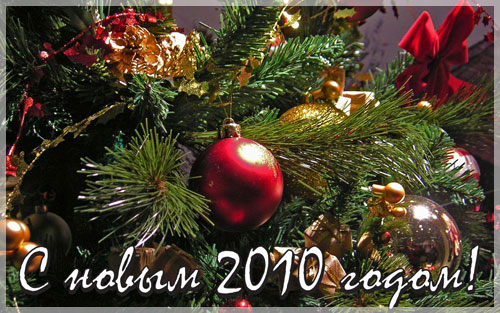 � ����� 2010 �����!