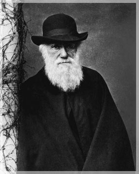 ������ ������.