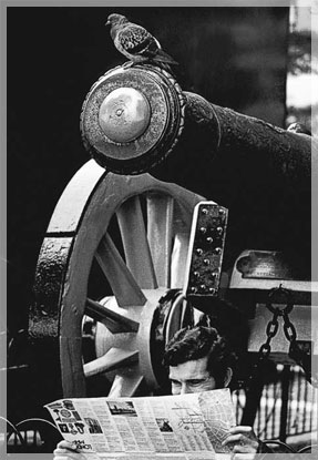 ���� �. �������.