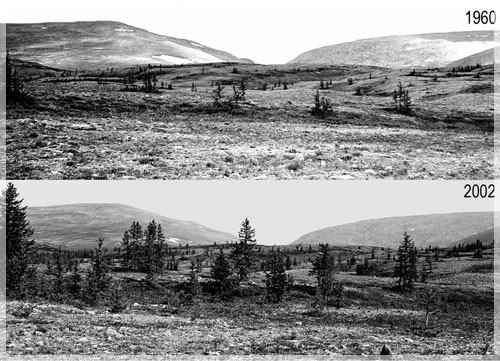 ����������� ���������� ��������� � ����� �  ��� �� ����� � ������� ���-�� � 1960 � 2002 �.