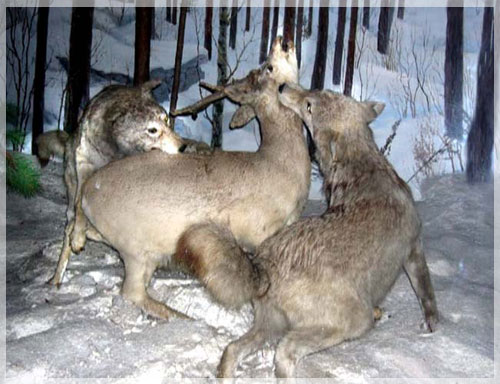 90 ��� ����������� ���������������� ����������� ��. �.�.������.