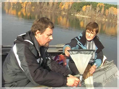 ��������� �������.