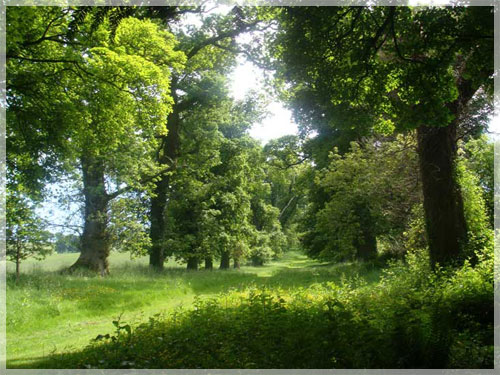 4-� ��������� �������� ������������ �����.