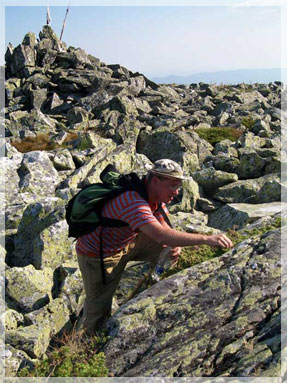 ������� ��������� �� ���������� ��������� ������.