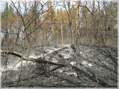 ����� ������.