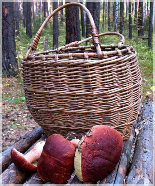 ������� ��������.