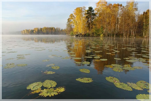 ����� ������� ��������.