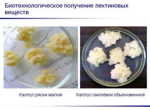 ������������� ��������� ���������� �������.