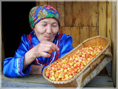 ���������� �� ����������� ����� �. �����������.