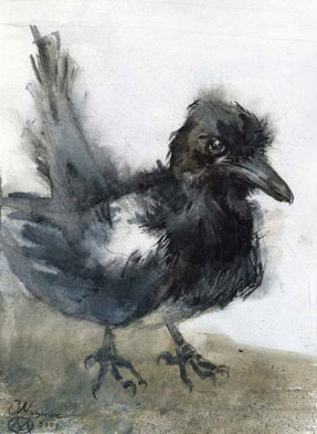 ������� ������ ������.