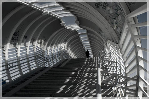 ���� �. �������.