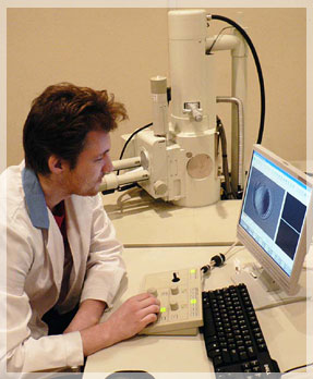 �������� �. ���������� � ������������ ������������ ����������.