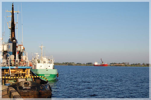 ���� �. ��������, �. �����������, �����-������ �������� � �������.