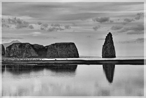 �� ����  � ������� ������ � ��� ���������� ��������� ������� ������ ������� ��������.