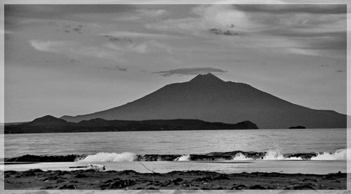 ������ ����.