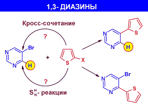 ����������� �� ����������� � ������������ ������� ��������.
