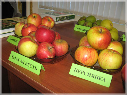 � ����� �������� - �� ������� ������.