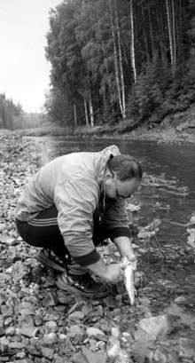 ������ ������� � ��������� ������.